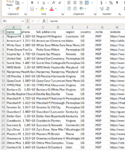 USA MSP Leads – Phone Numbers