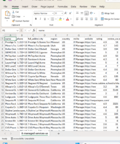 USA IT Managed Services Leads – Phone Numbers