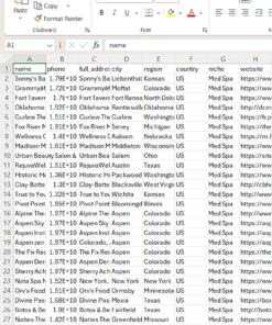 77,970 USA Med Spa Leads – Phone Numbers